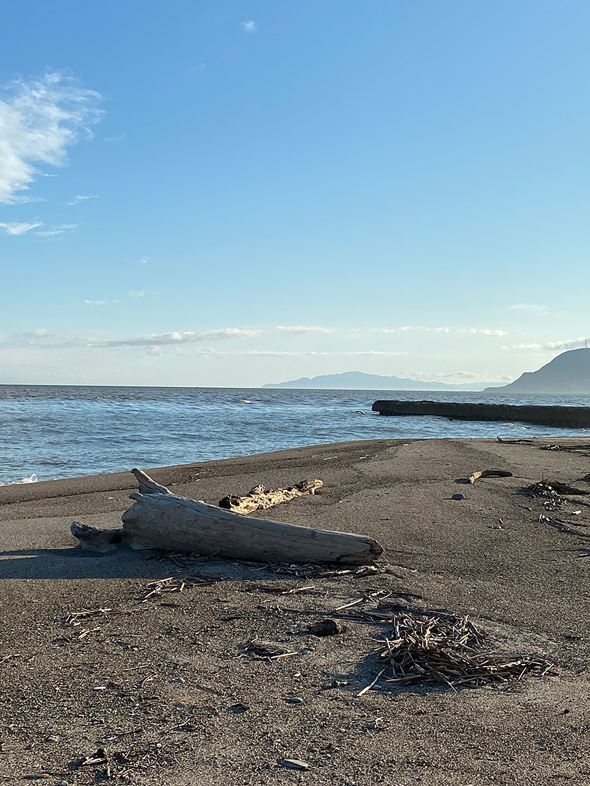 湯の川の海と砂浜と木2